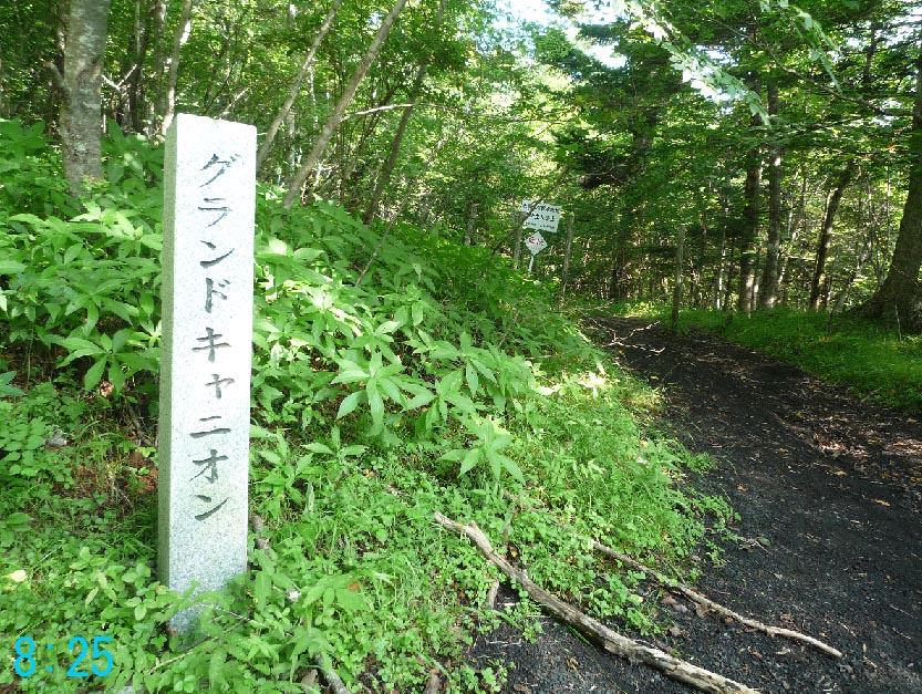 富士山グランドキャニオン フジアザミ 富士の番人 富士の衛兵 グランドキャニオン実況中継 グランドキャニオンハイキング